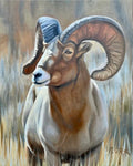 Ram